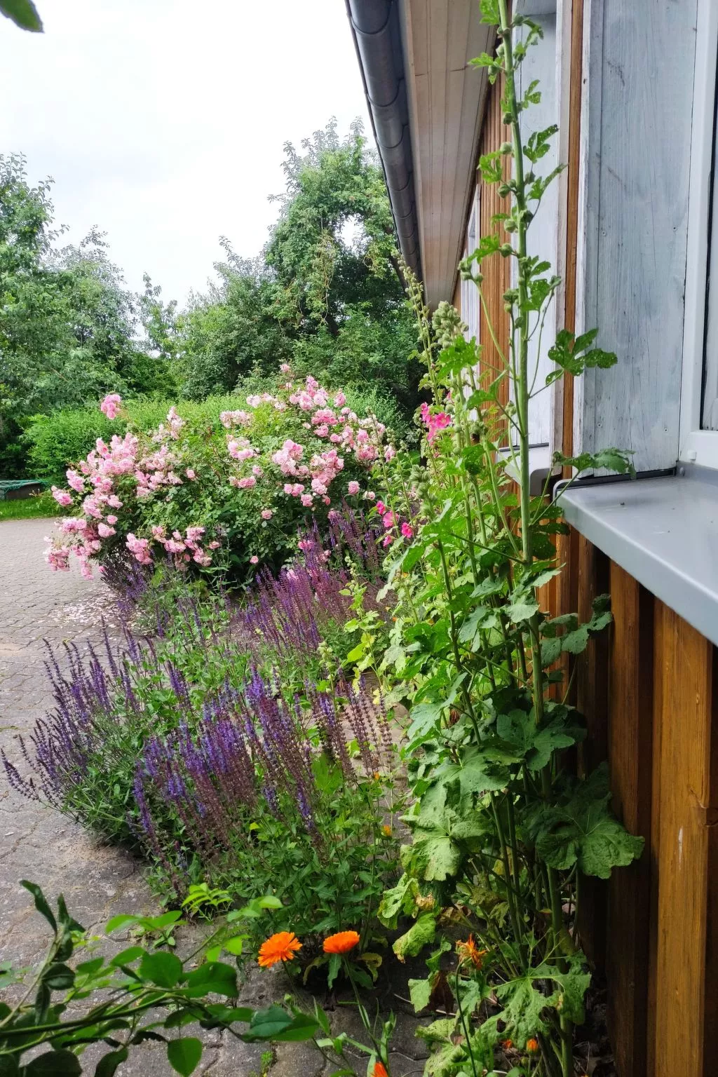 Janet Ratschkowski-Draußen