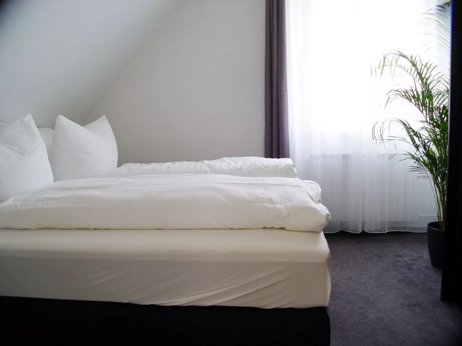 La Domus Premium-Inside