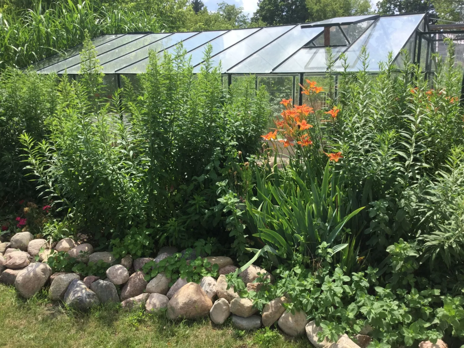 Kleines Ferienhaus in Rangsdorf mit großem Garten-Draußen