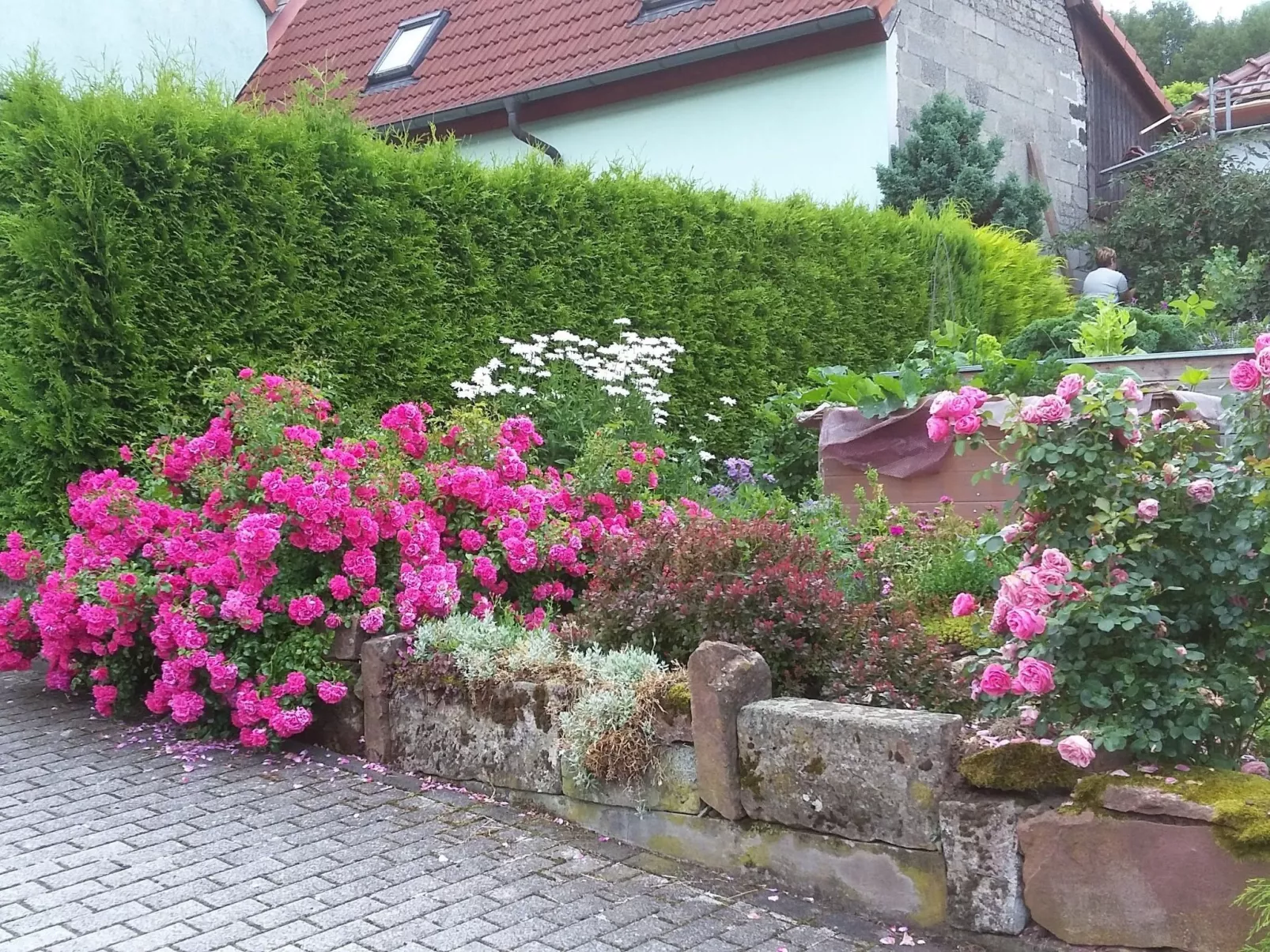 Gemütliches Ferienhaus in Fischbach Rhön-Outside