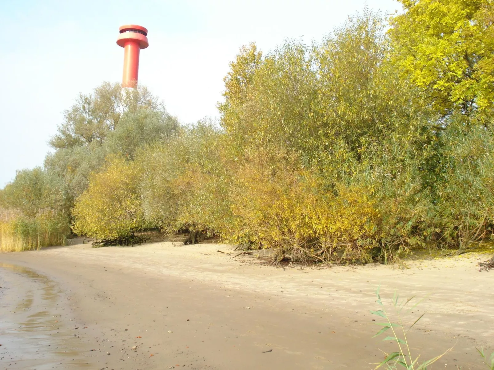 Elbe-Ferienwohnung mit Terrasse nah am Zentrum-Image-tags.info