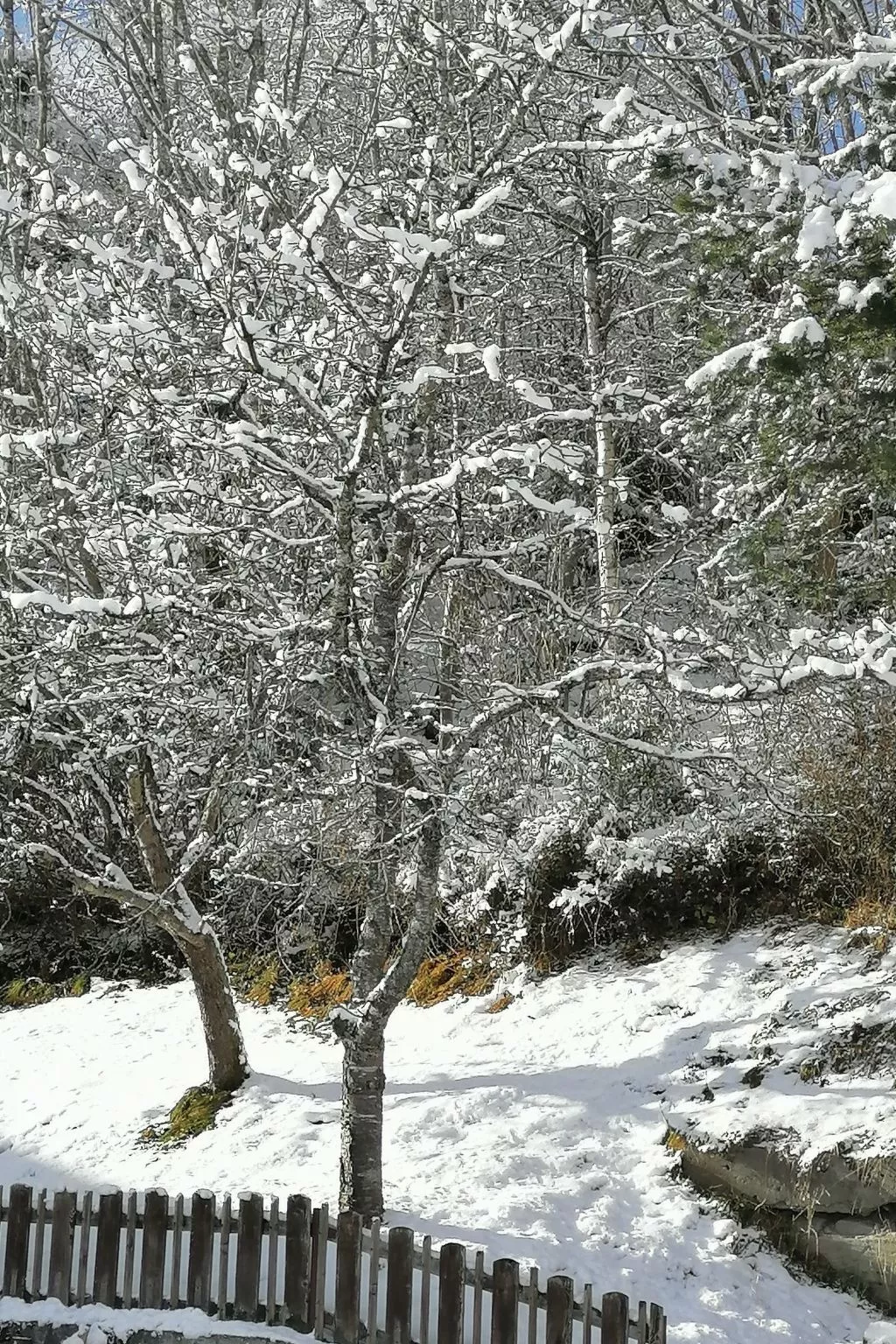 Riedbach in Mutters-Outside