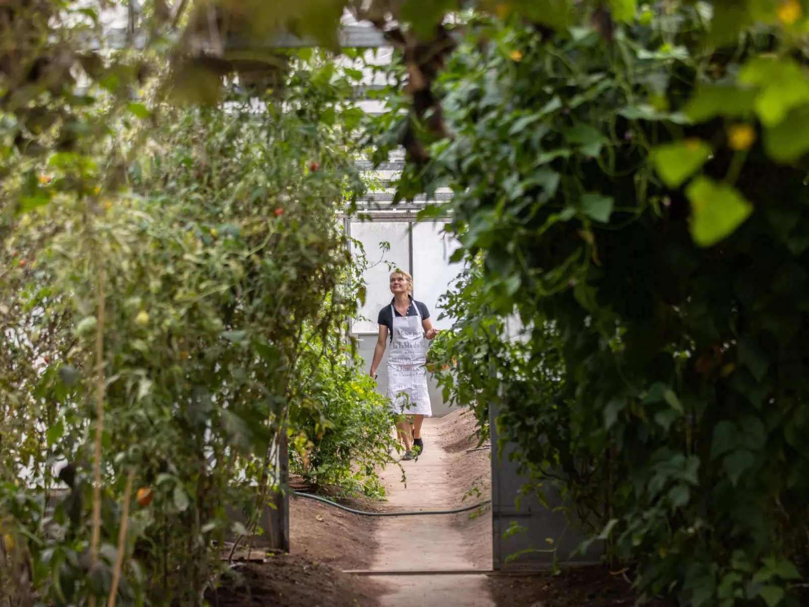 Grand Appartement-Image-tags.info