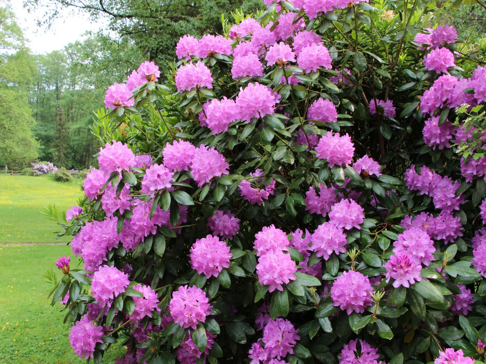 Ferienvilla mit eigener Sauna-Draußen