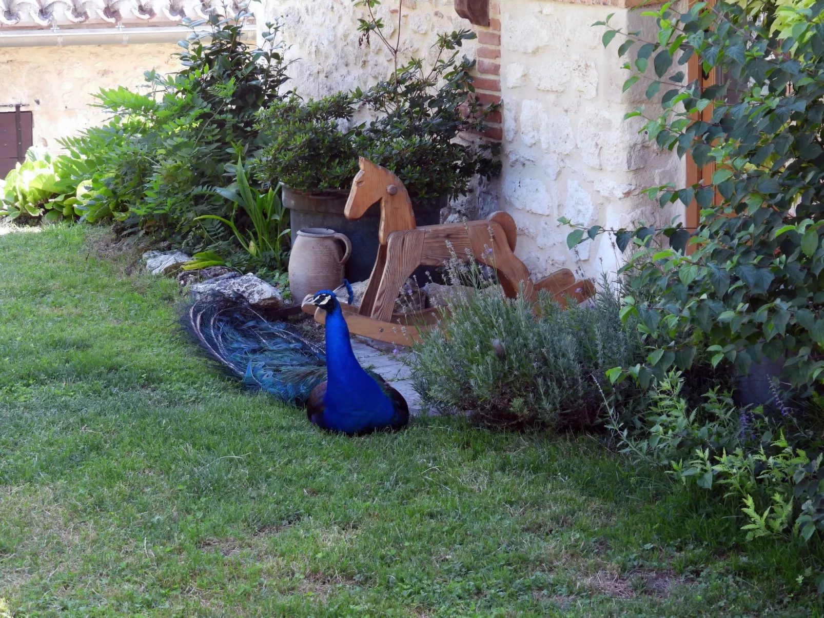 La Ferme des Paons-Outside