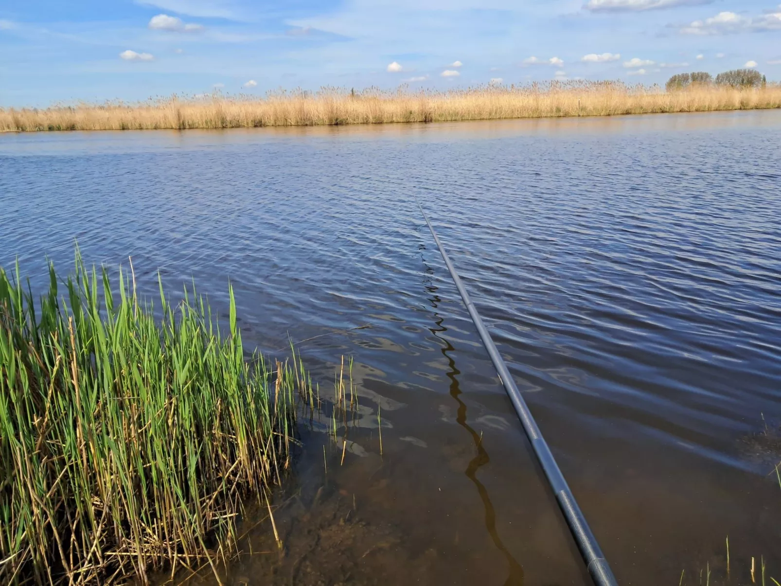 Ferienchalet an der Grenze zwischen Brabant und Zeeland-Outside