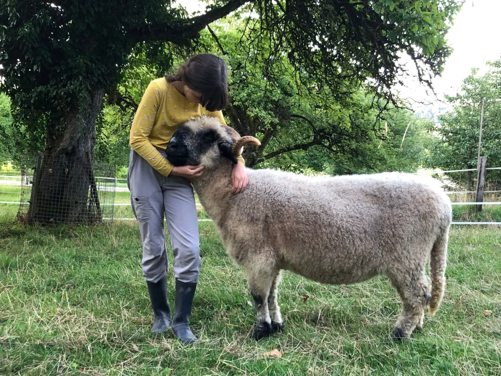 Tieroase Grünegg-Image-tags.info