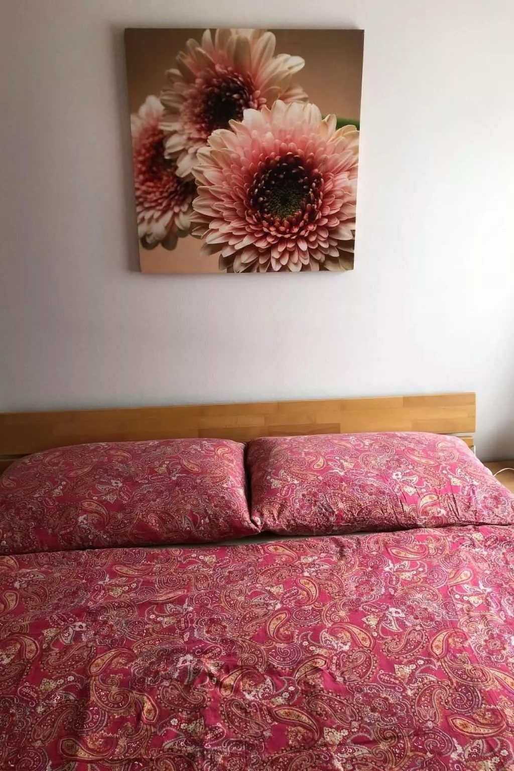 3-Zimmer Ferienwohnung Rapperswil am Zürichsee-Drinnen