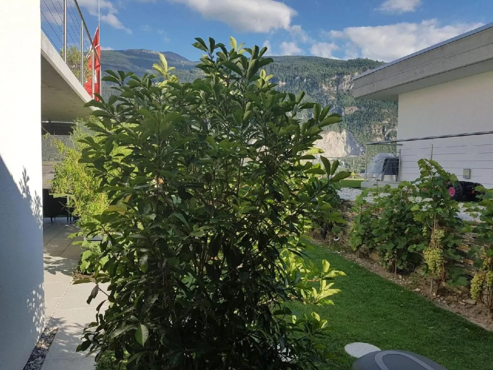 Guesthouse Petit Pré Appartement INSPIRATION-Dehors