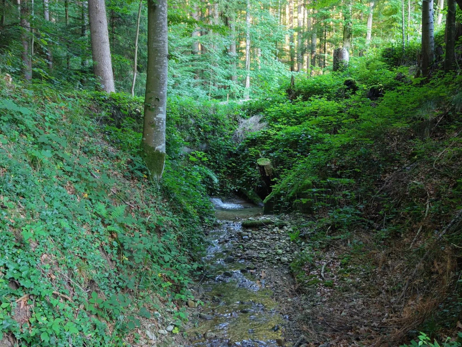 Bauernhaus VordereAu-Dehors