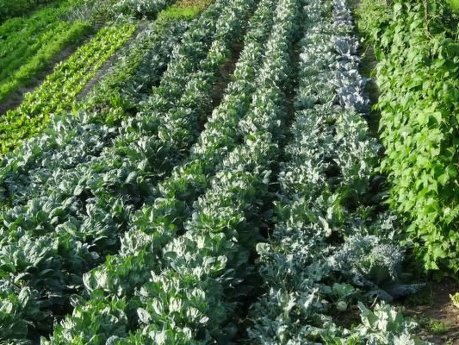 Bauernhof Gerber-Draußen