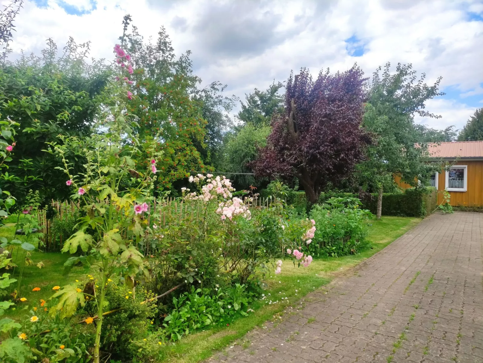 Janet Ratschkowski-Outside