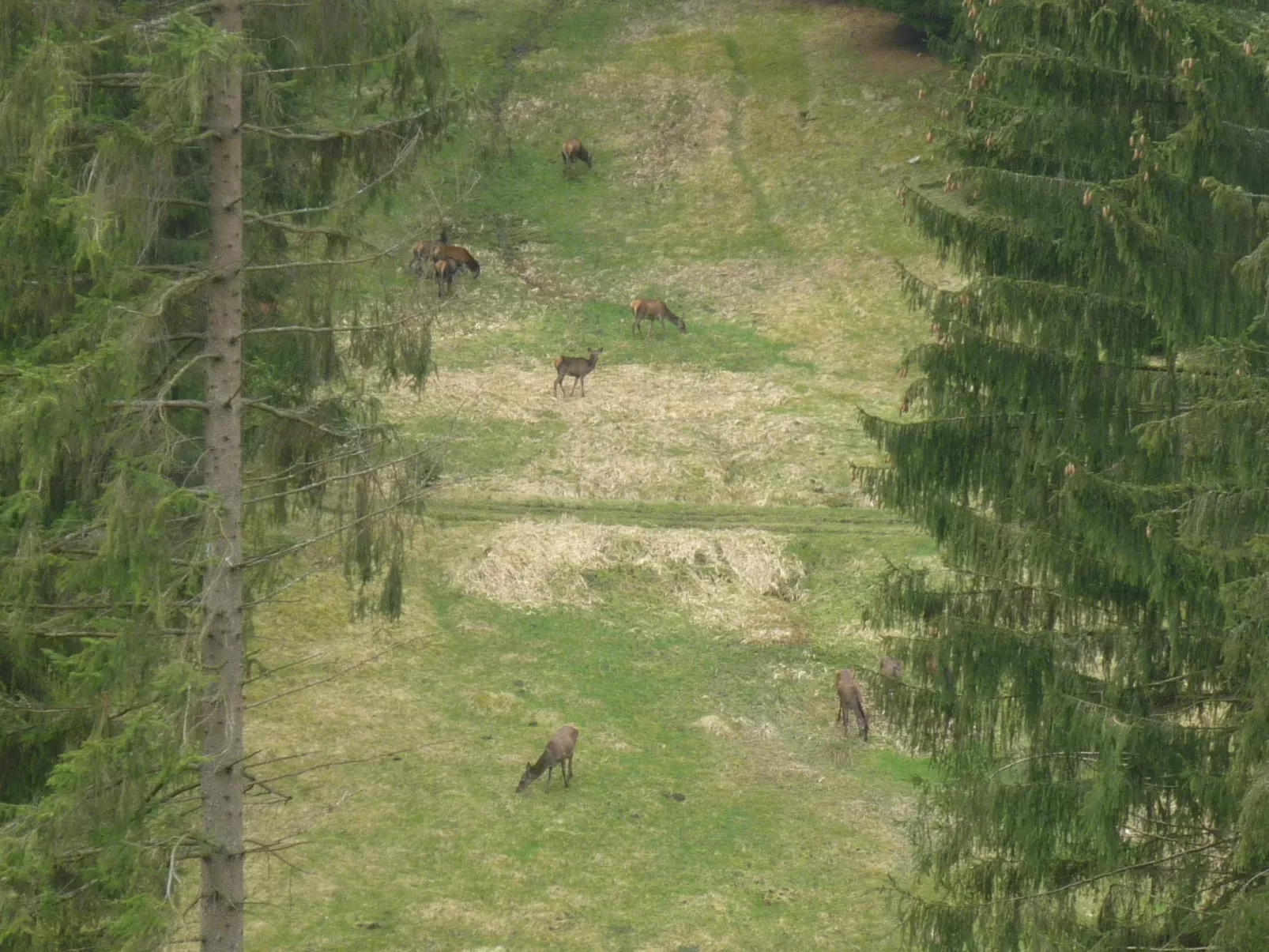 Für 9 Personen im Thüringer Wald-Outside