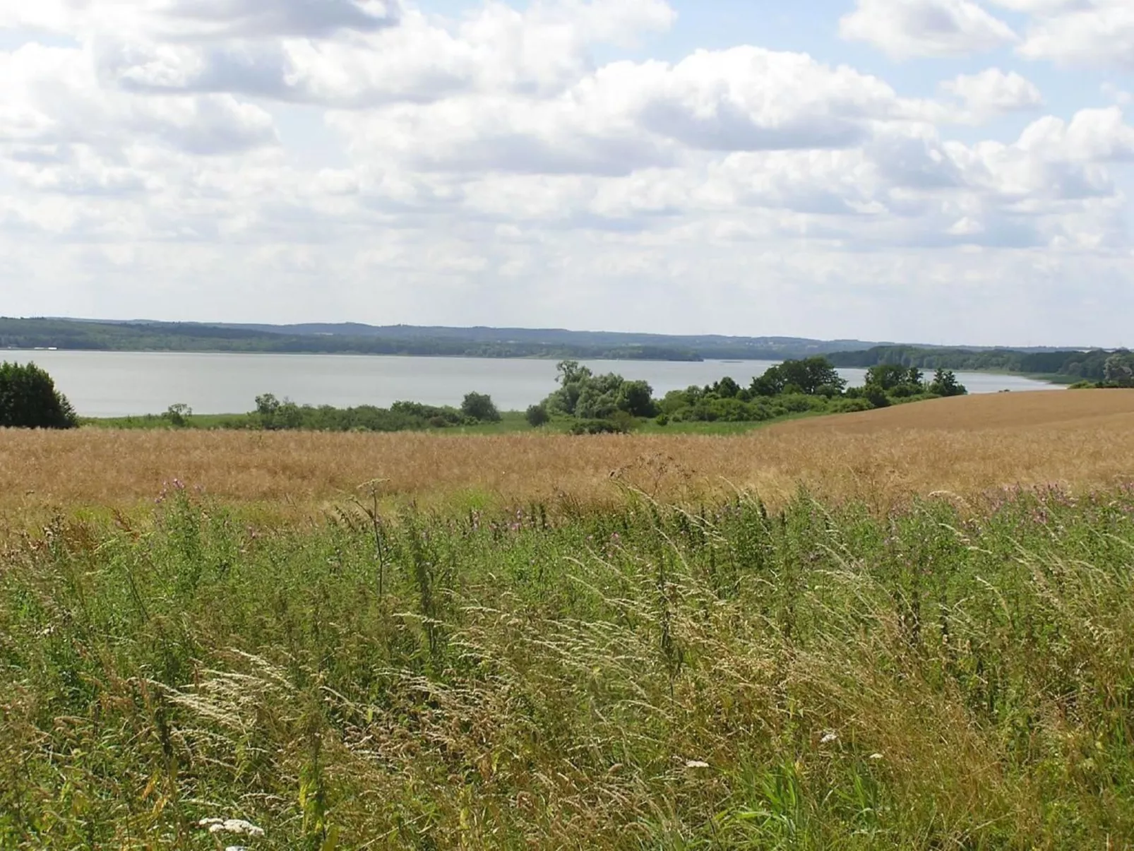In Dahmen mit Großem Garten-Draußen