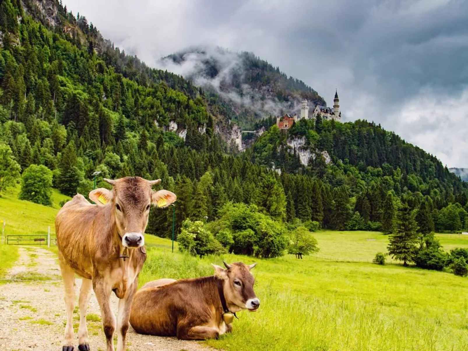 Sehnsucht Allgäu-Dehors