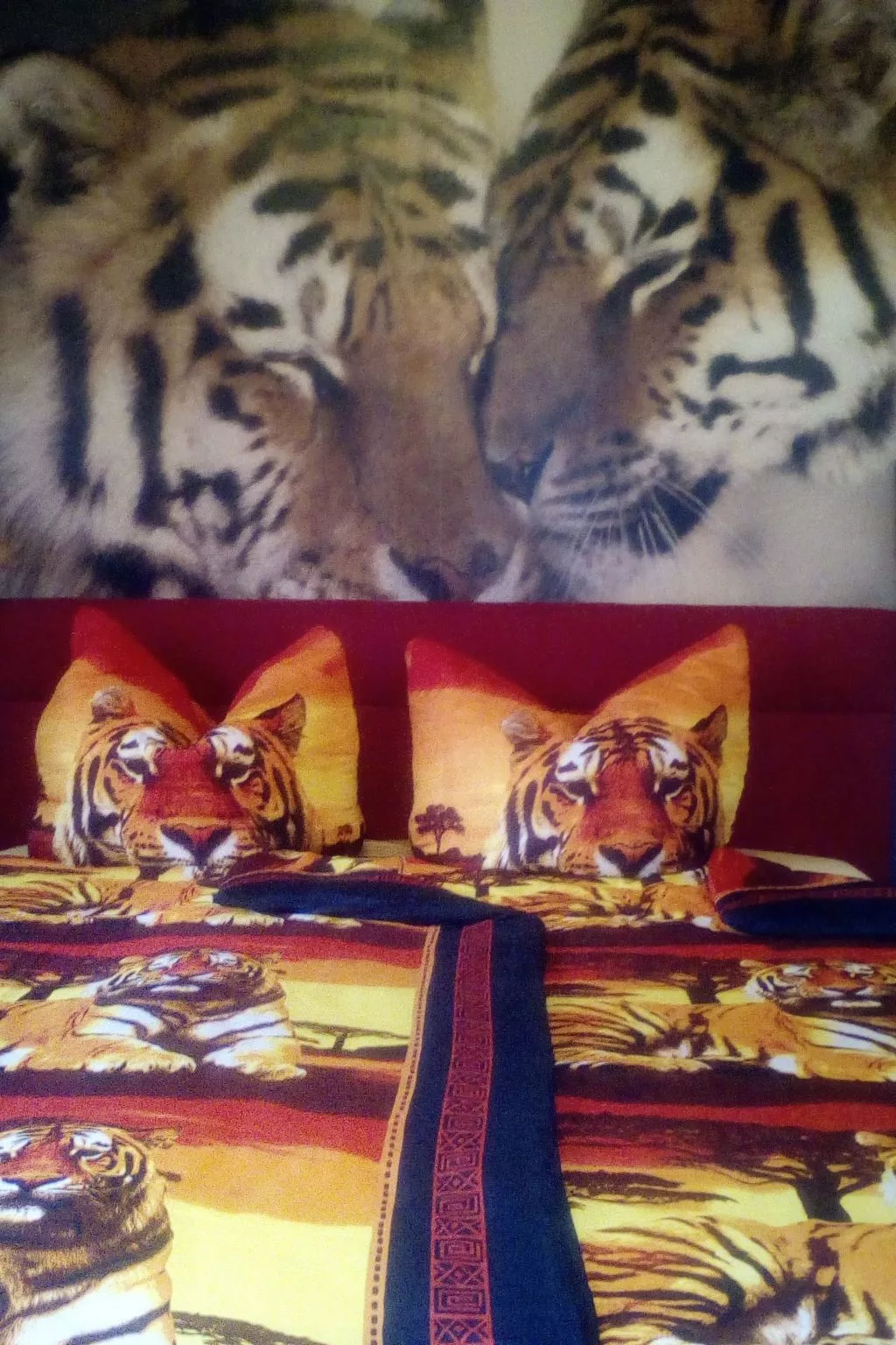 Blick in die Natur-Inside