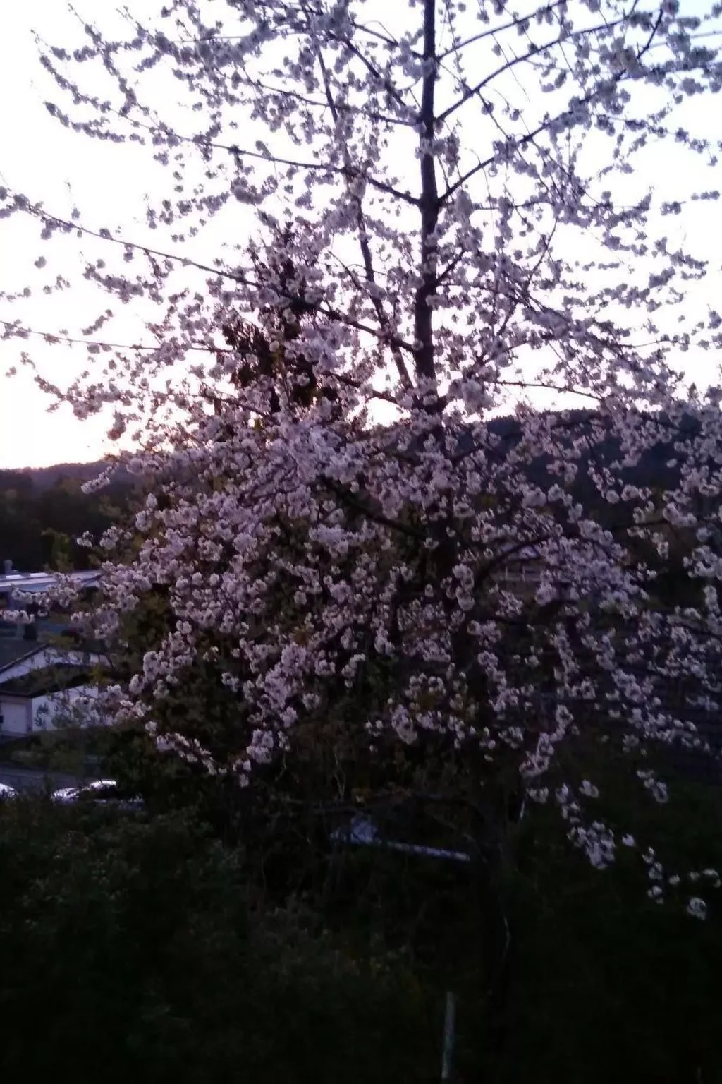 In Hauenstein mit Garten und Grill-Dehors