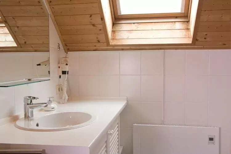 Ferienhaus in Hasselfelde - Haus 601 Auerhahn-Bathroom