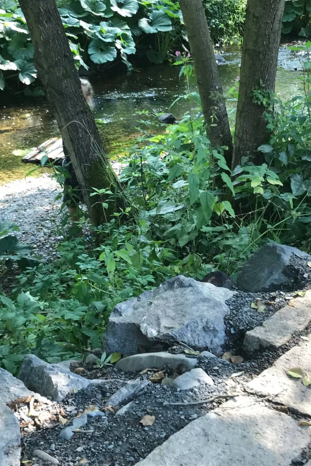 Fewo 3-An der Rodach-Outside