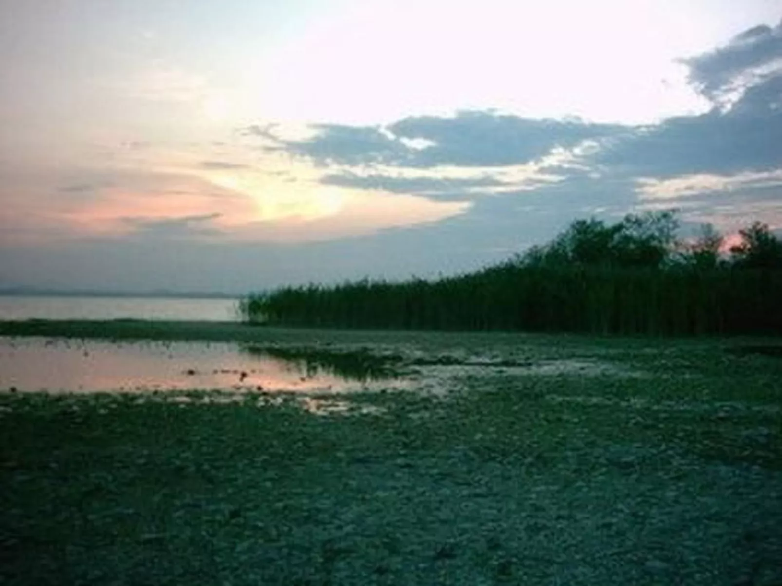 Forsthaus Chiemsee-Draußen