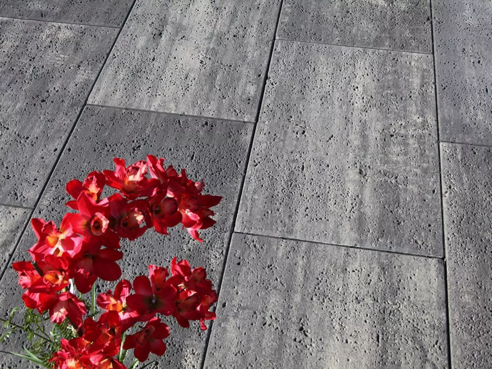 Landhaus mit Schwimmbad-Dehors