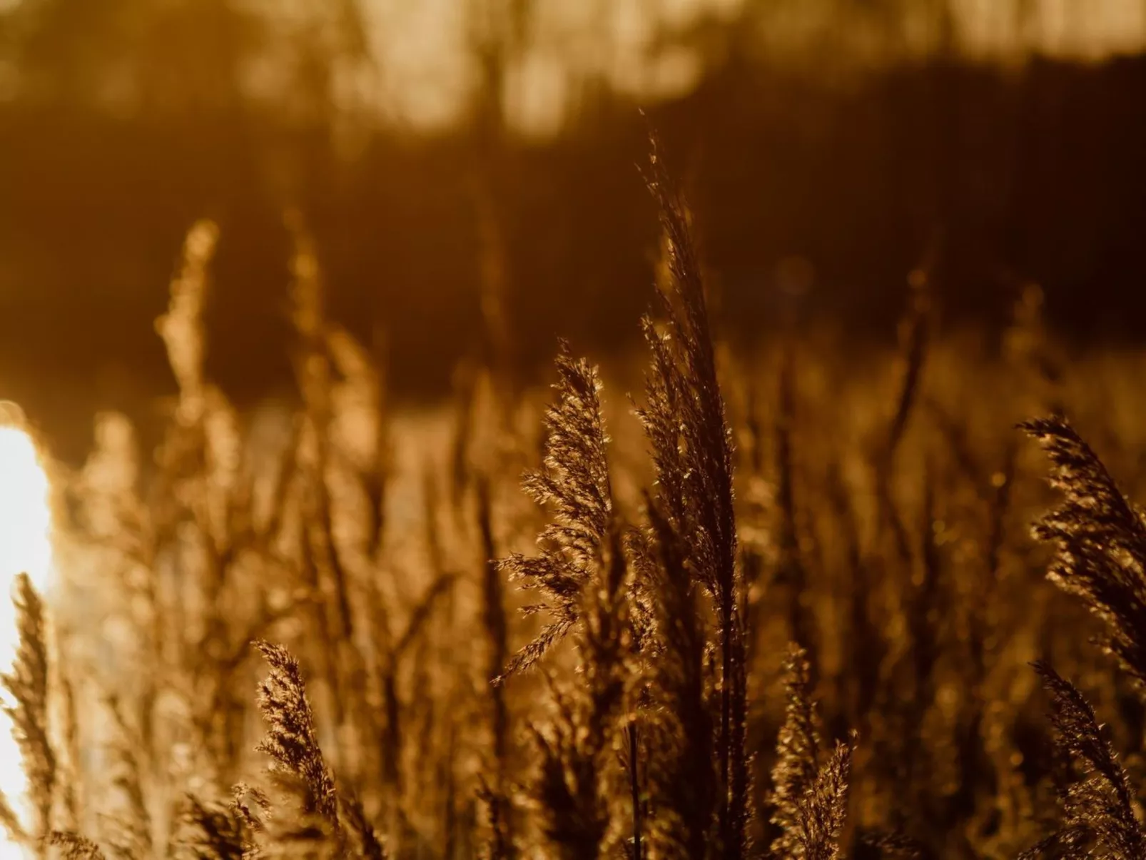 Residenz KrakowerSee-Dehors