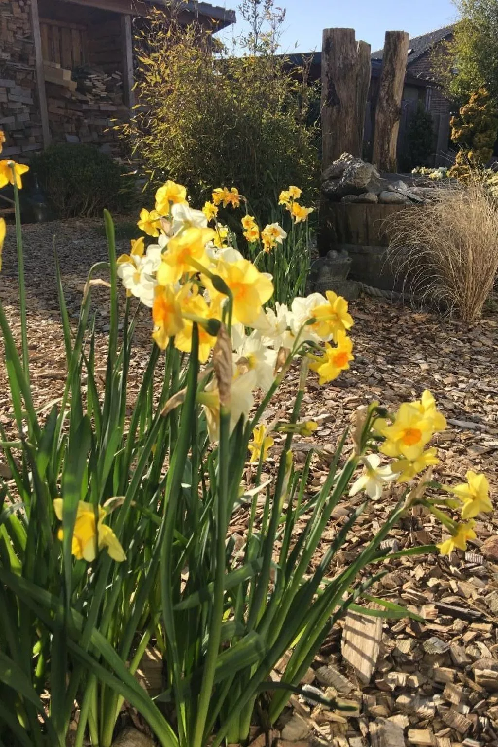Ruhige Wohnung in Risum mit Garten und Terrasse-Dehors
