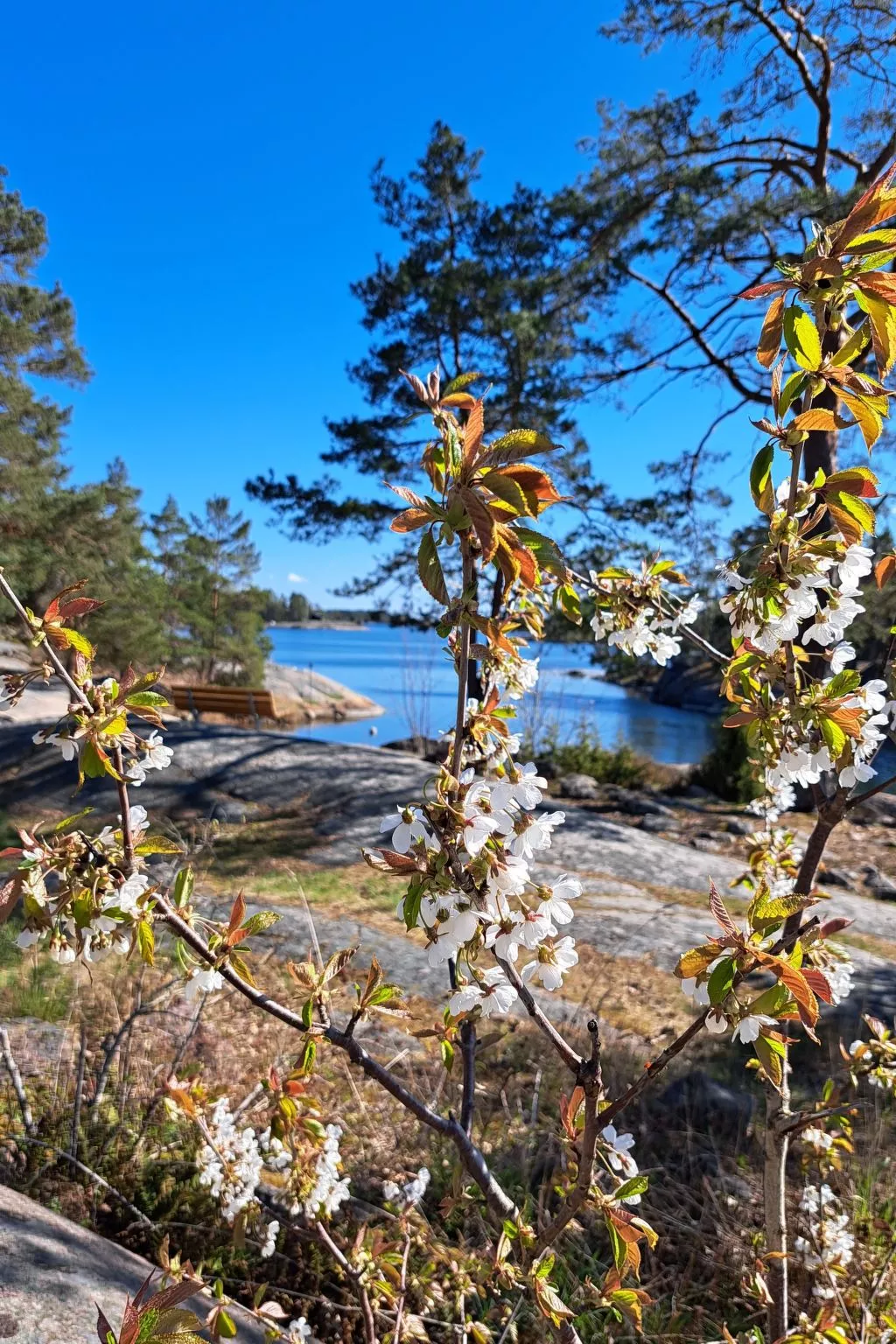 Im Herzen Smålands-Outside