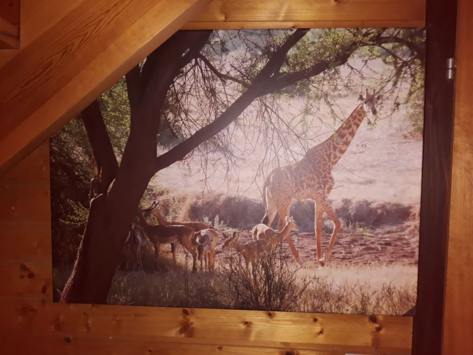 In Kuhklingen mit Großer Terrasse-Dedans