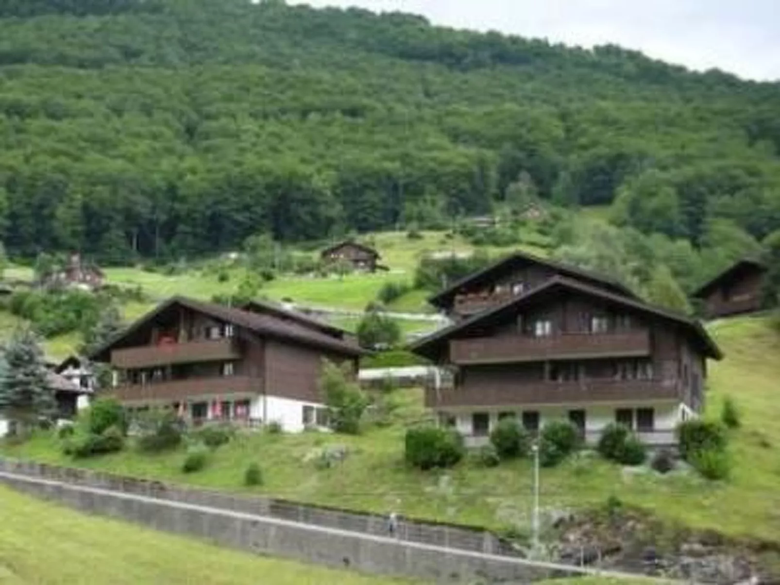 Bemer-Rempfler-Image-tags.info