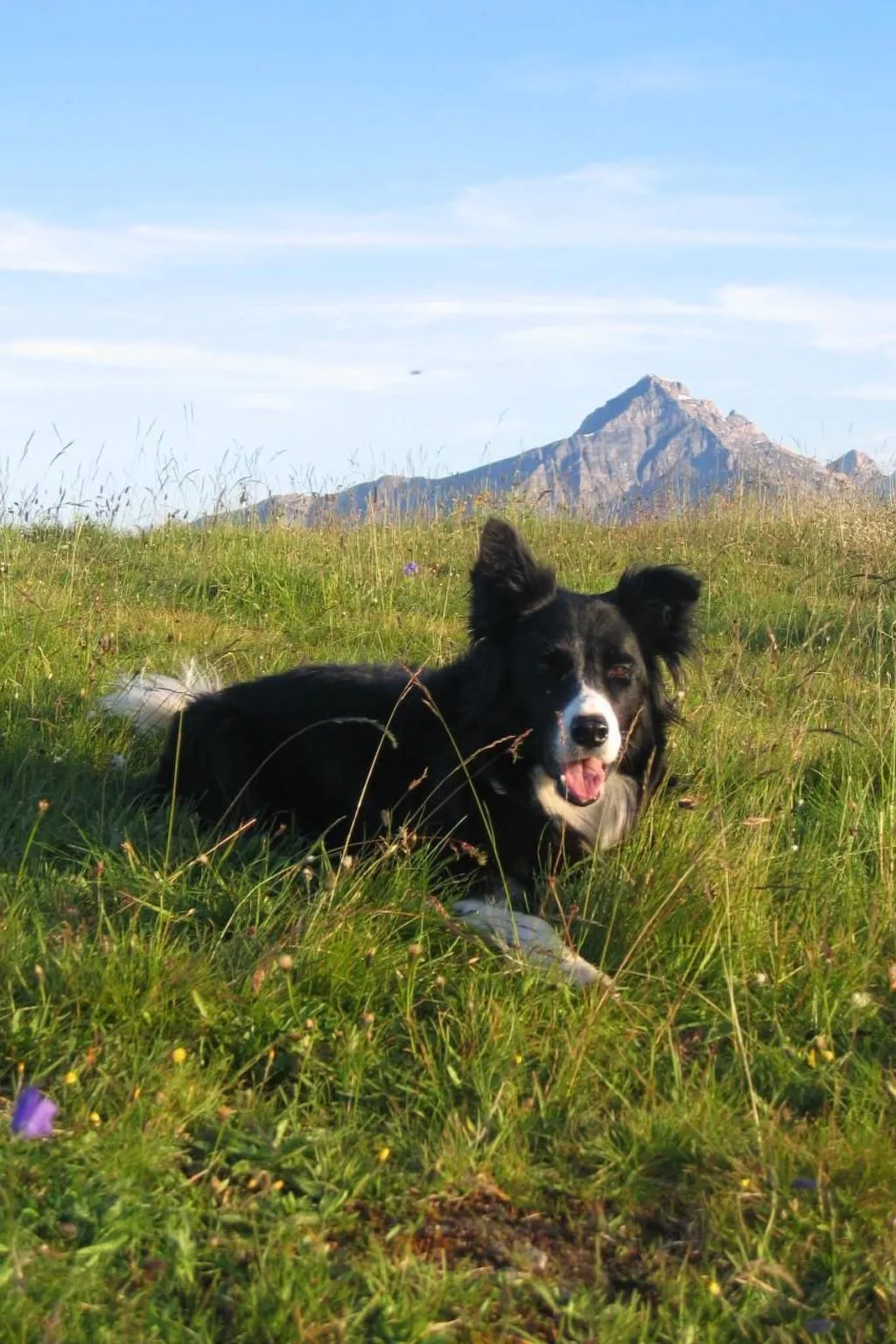 Staudenhof Viamala-Outside