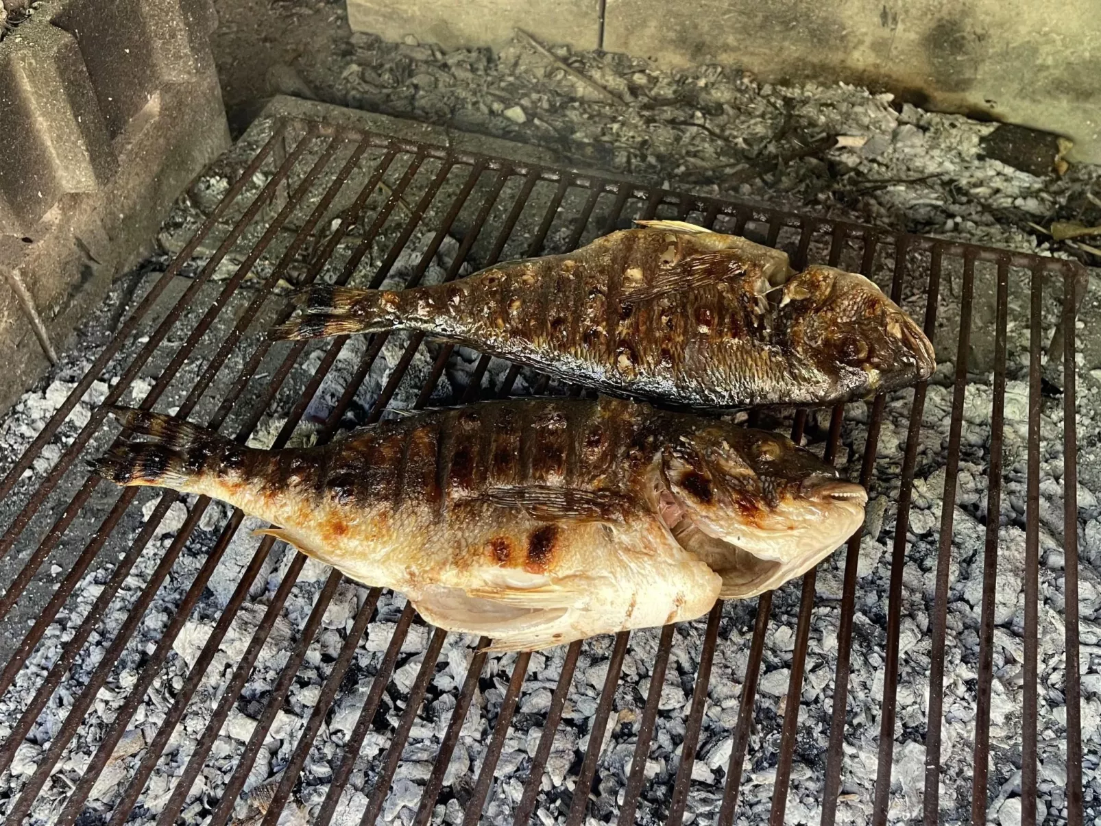 House Juraj-Image-tags.info