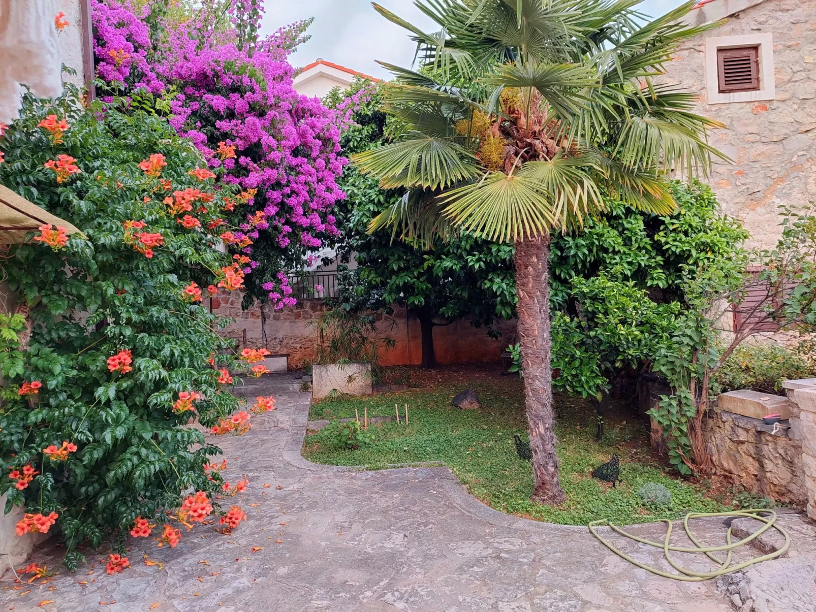 Wohnung in Zavala mit schönem Garten-Outside