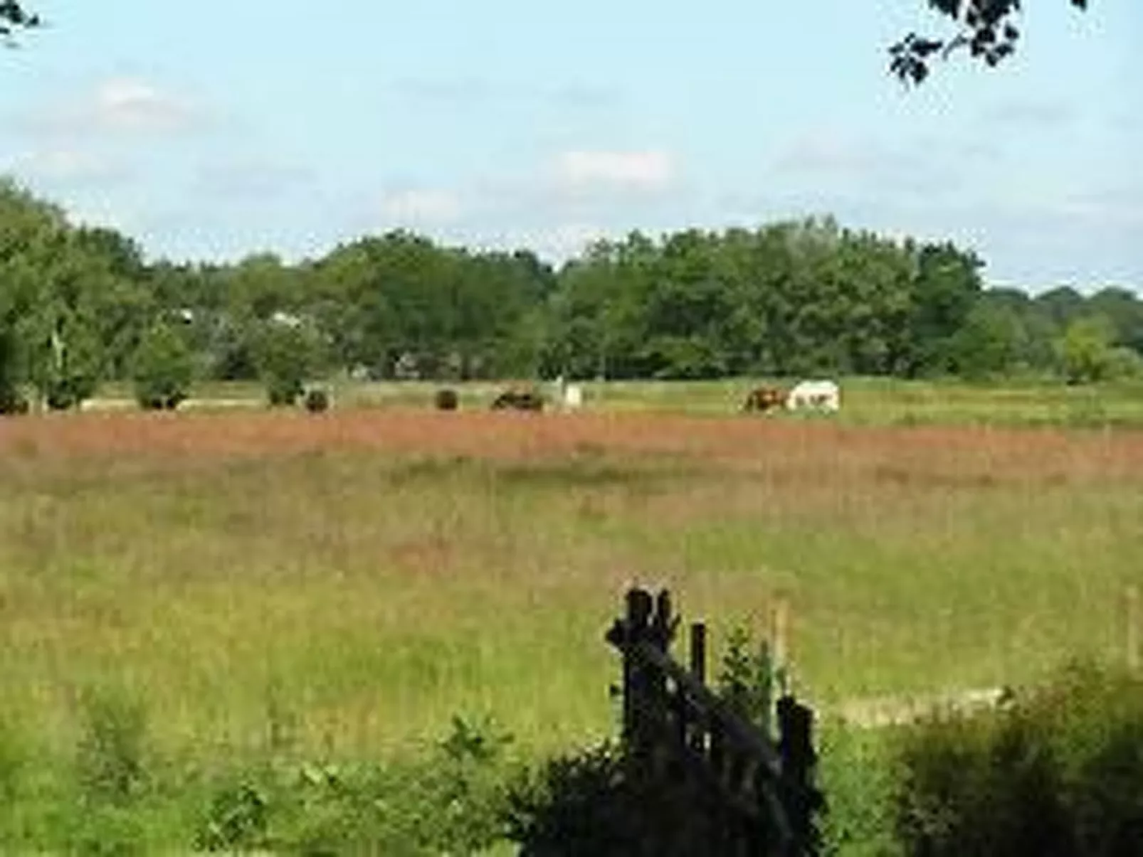 Scheunenwohnung-Draußen