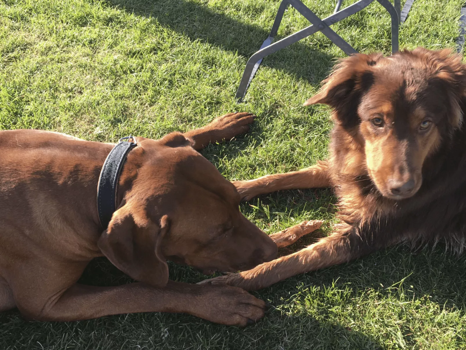 In Strandnähe-Outside