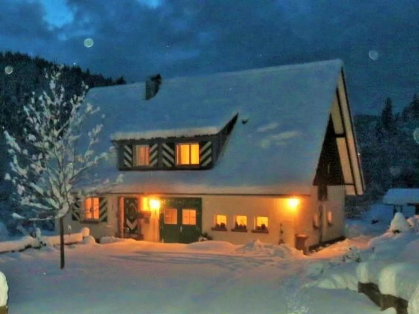 Tauchert-Image-tags.info