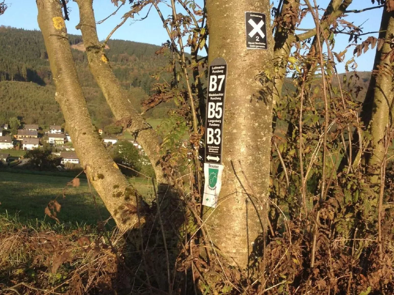 Haus Schnurbus - Outside