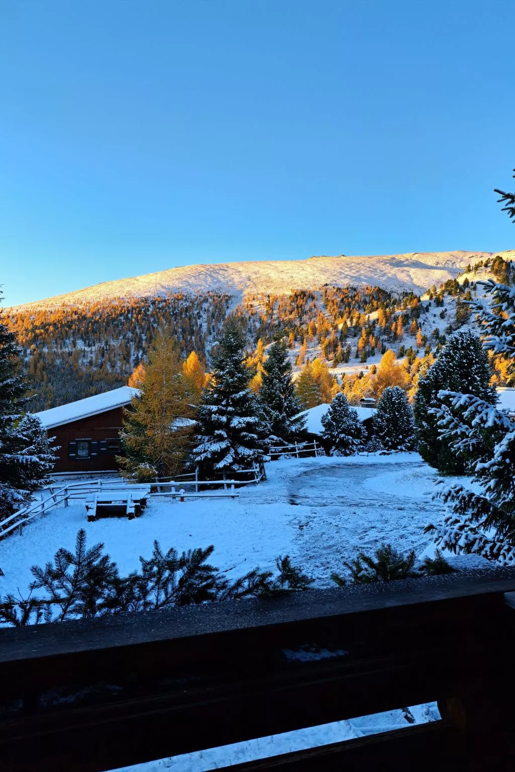 Blommen in Falkertsee-Image-tags.info