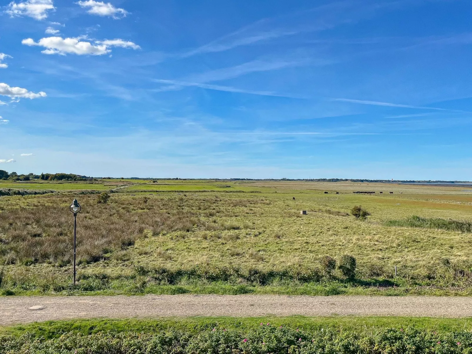 Liiger Wal in Morsum-Outside