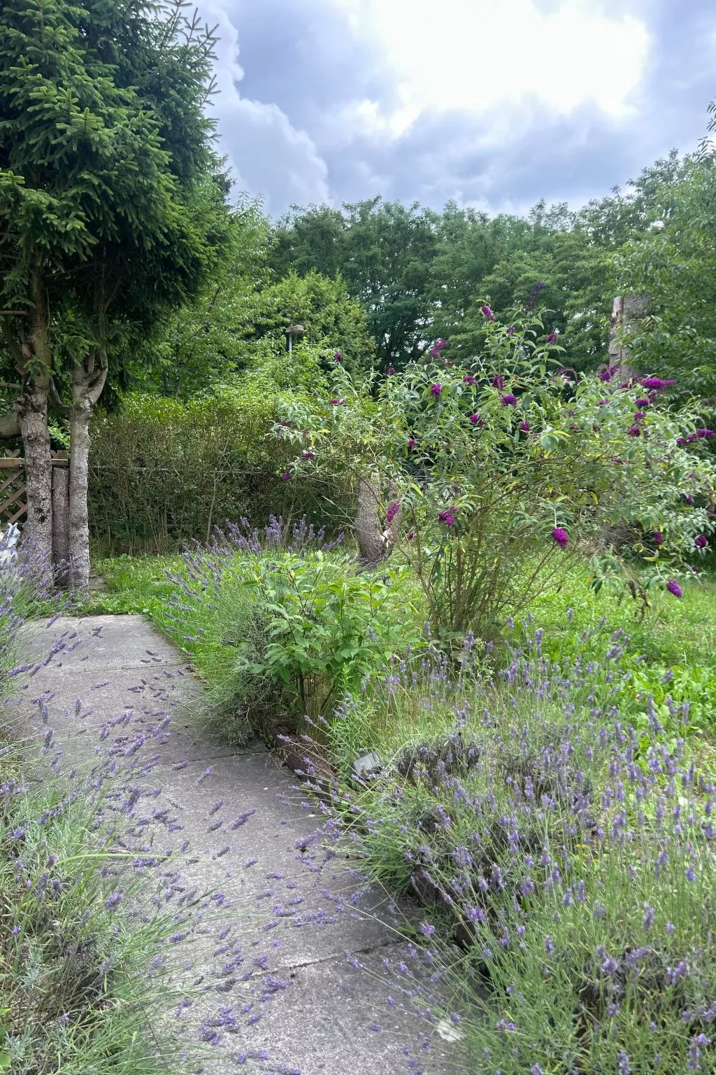 Datscha im Grünen-Draußen