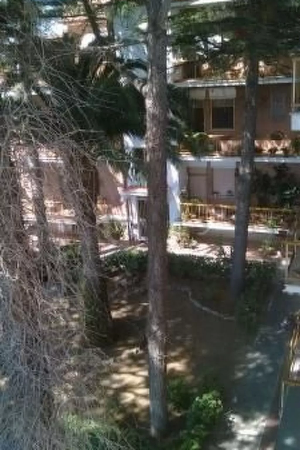 Penthouse mit großer Terrasse-Image-tags.info