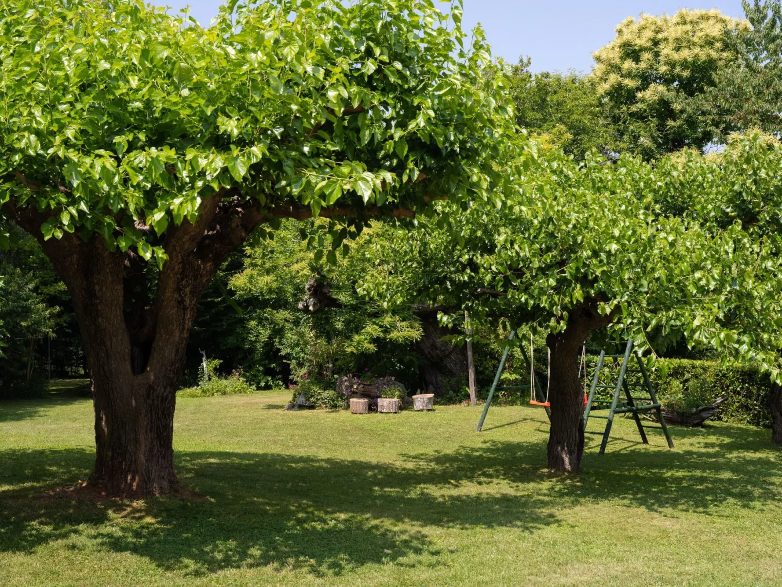 Gemütliches Ferienhaus in Ružići mit Offenem Kamin-Outside