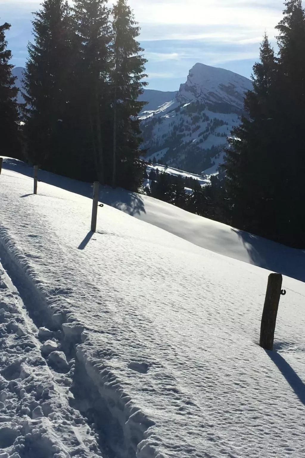 Fewo mit Herz-Draußen