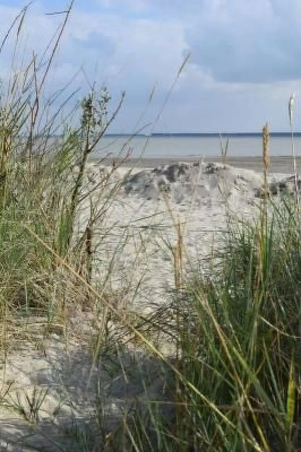Kleines Haus mit Garten, direkt hinter dem Deich-Outside