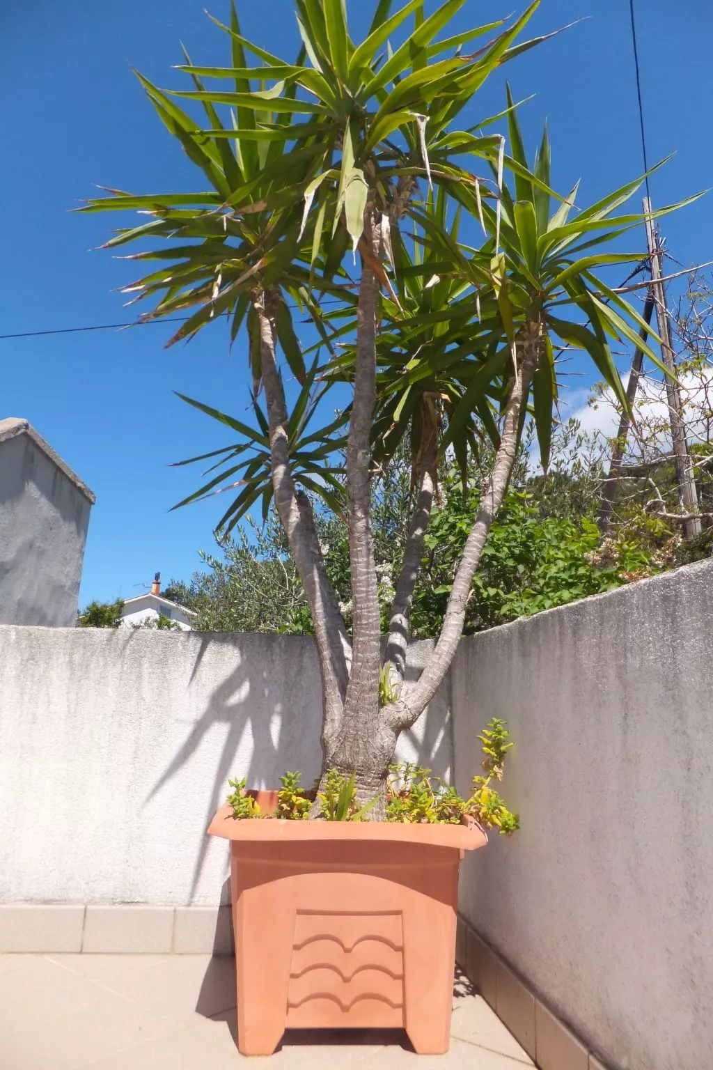 "Appartement 5"-Outside