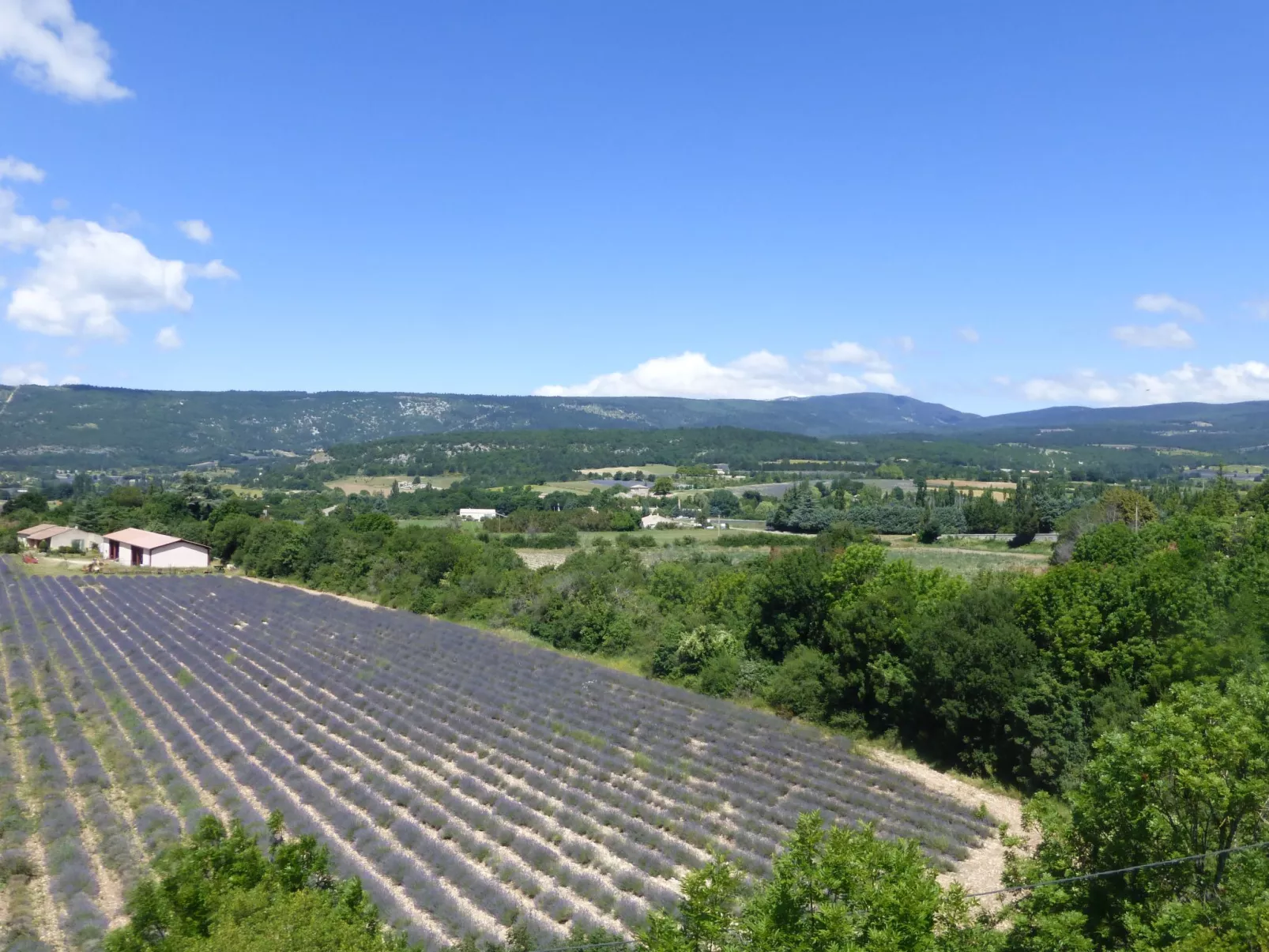 Charmantes Haus mit Pool und Garten-Image-tags.info