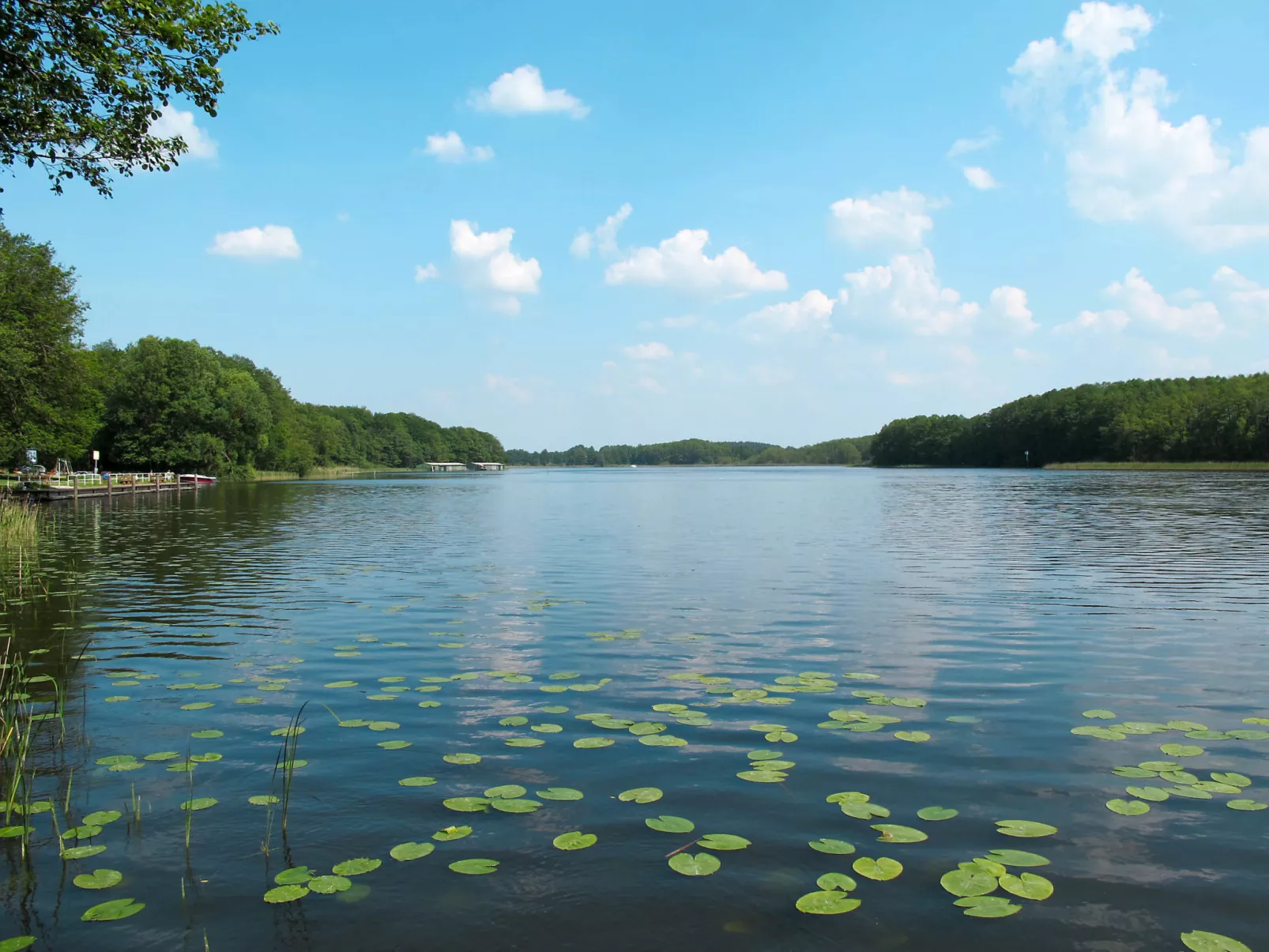 Landhaus Mueritzsee-Umgebung