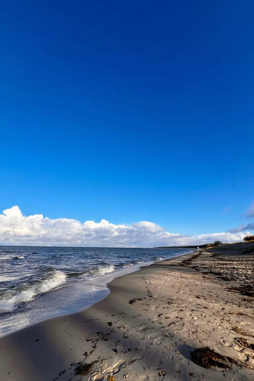Stormy im Nauticum-Outside