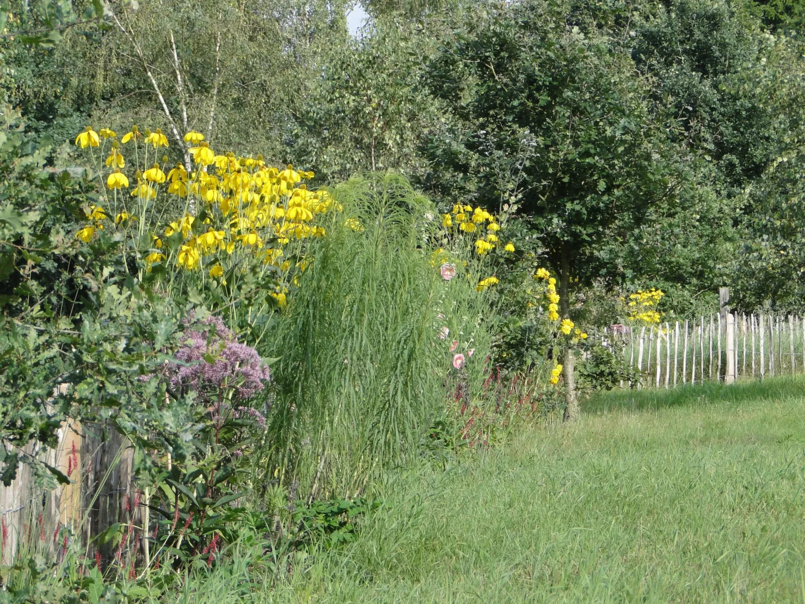 Haus Hartriegel im Bispinger Heidezauber-Outside