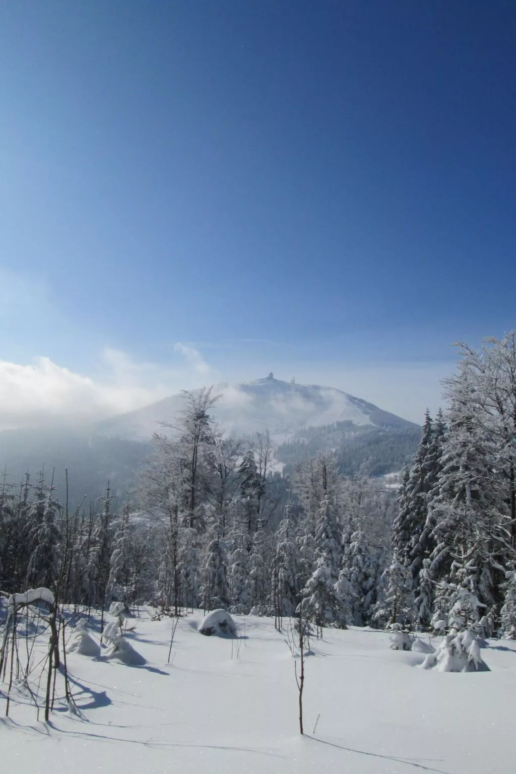 Seitz 1 in Bayerisch Eisenstein-Dehors